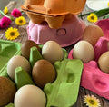 Fresh Eggs
