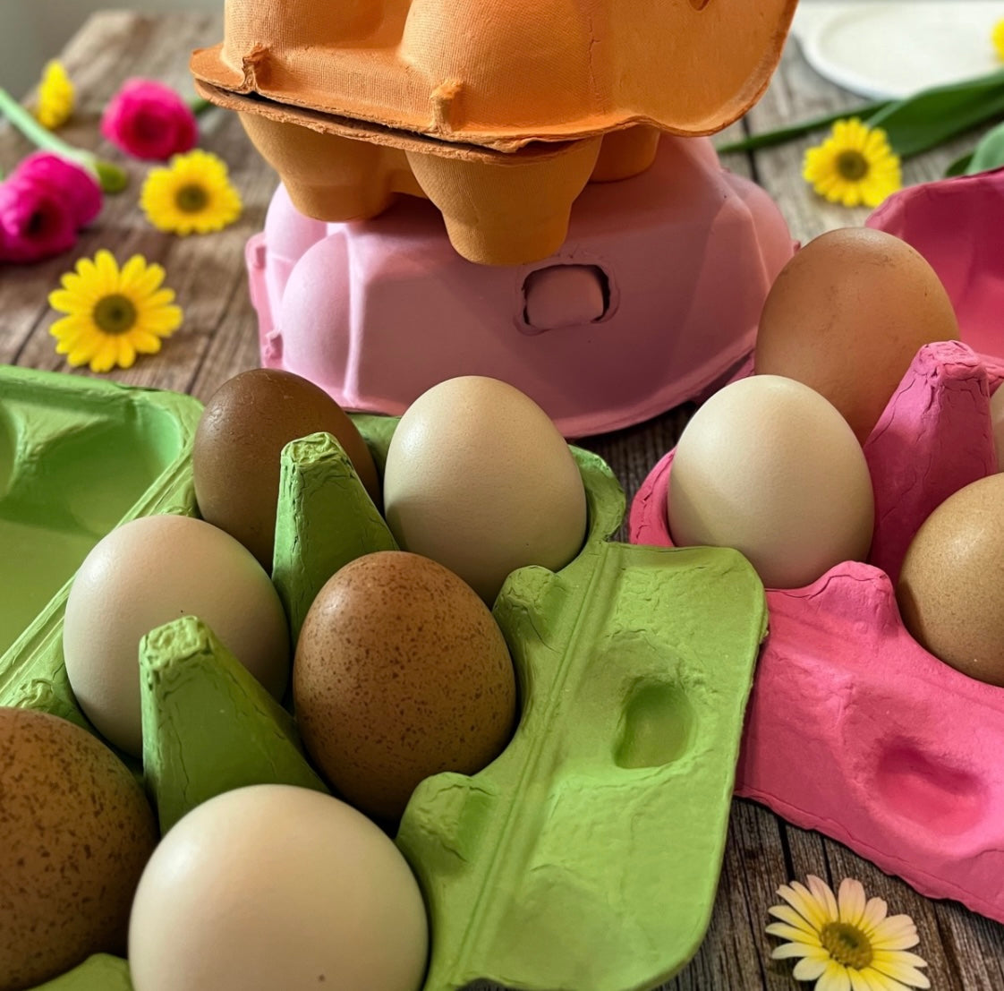 Fresh Eggs